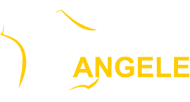 Logo - Taxis Angele
